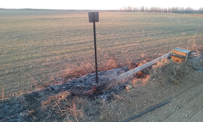 Lindero quemado como medida contra el topillo en el sector palentino de Tierra de Campos. Se da la paradoja de que el fuego ha destruido un nidal destinado a favorecer a pequeñas rapaces depredadoras del roedor (foto: Grefa).


