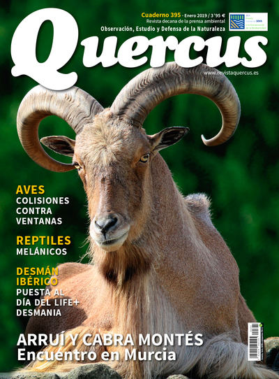 Portada Quercus nº 395 / Enero 2019