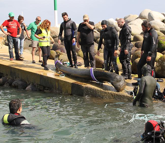 Mandíbula de ballena franca localizada, reflotada y recogida del fondo marino en Puerto de Bares (Mañón, A Coruña). Foto: CEMMA.

