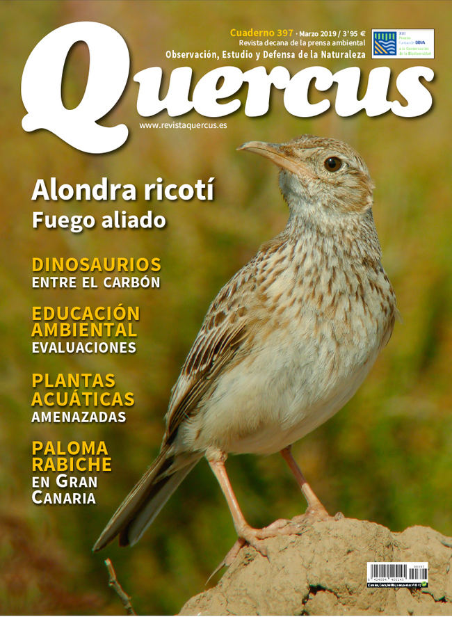 Portada Quercus nº 397 / Marzo 2019