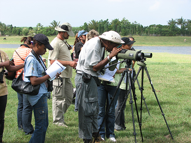 Observadores de aves en la República Dominicana (foto: USFWS).