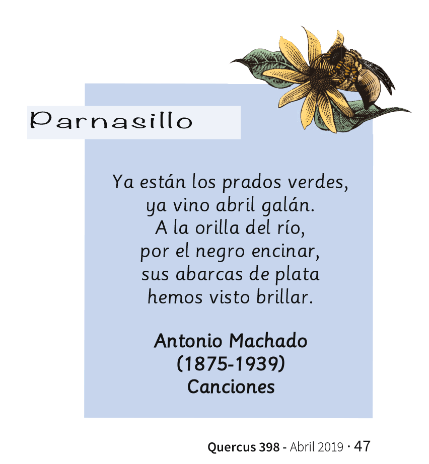 Parnasillo Abril 2019