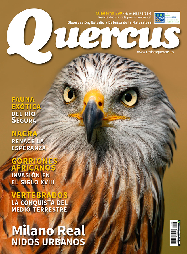 Portada Quercus nº 399 / Mayo 2019