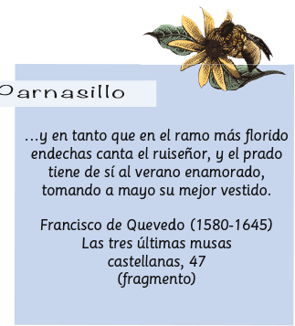 Parnasillo Mayo l 2019