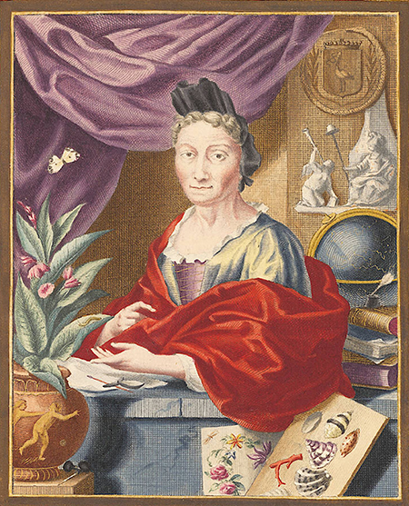 Retrato de Maria Sybilla Merian hacia el año 1700, en su edad madura, a partir de un grabado en cobre de Jacobo Haubraken.


