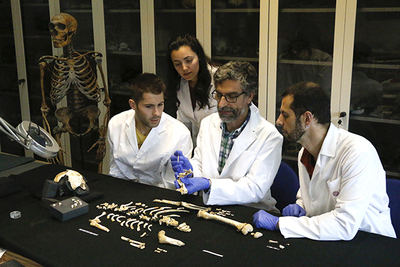 Estudio de un esqueleto de neandertal perteneciente a un individuo inmaduro, de 7’7 años de edad (foto: Grupo de Paleoantropología MNCN-CSIC).