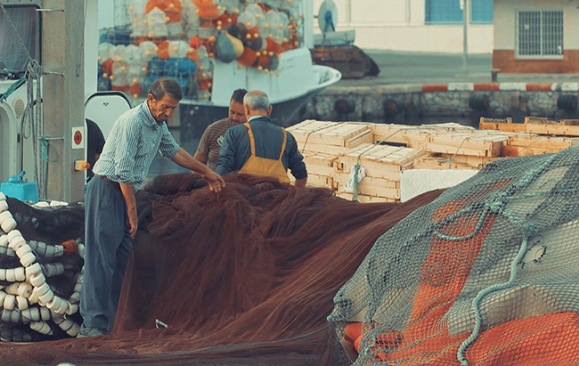 Varios pescadores pliegan sus redes en el puerto de Motril (Granada), uno de los puntos del Mediterráneo español donde está trabajando el proyecto Medfish.

