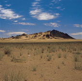 Un viaje al Sahara tras los pasos 
de Cervera, Quiroga y Rizzo