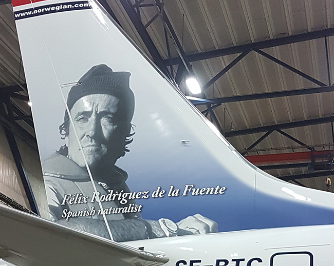 Uno de los aviones de Norwegian que lucen la imagen de Félix Rodríguez de la Fuente en su timón de cola (foto: Norwegian).

