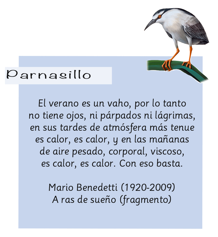 Parnasillo Agosto 2019