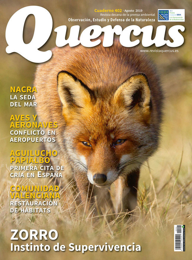 Sumario Quercus nº 402 / Agosto 2019