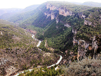 Paisaje en el Parque Natural del Alto Tajo (Guadalajara) con un notable grado de recuperación de la cubierta forestal original, dominada por el pino laricio.

