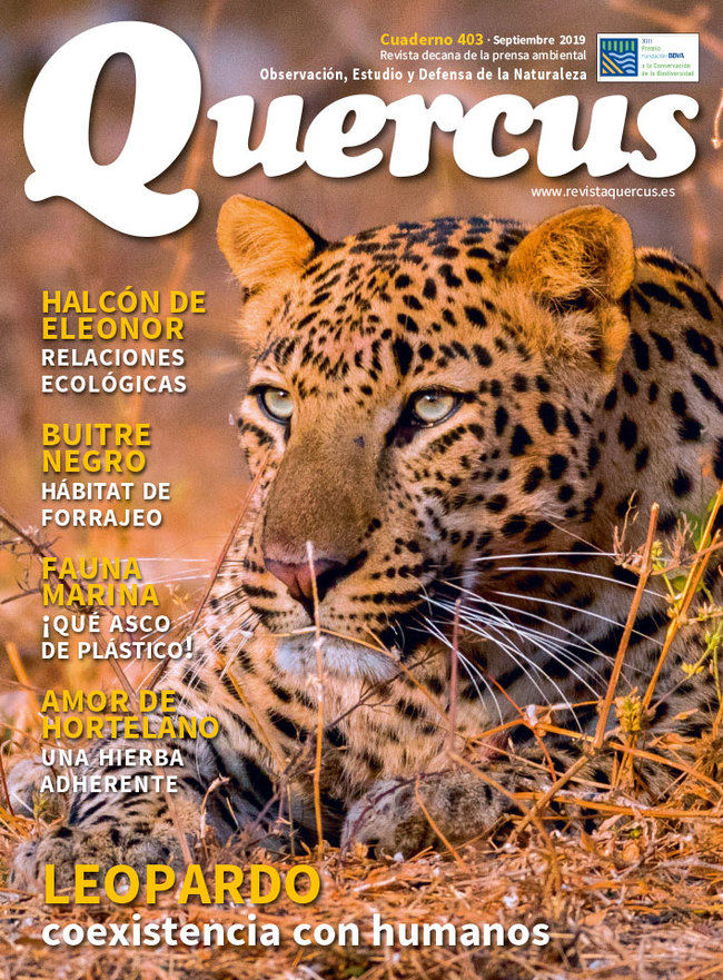 Portada Quercus nº 403 / Septiembre 2019