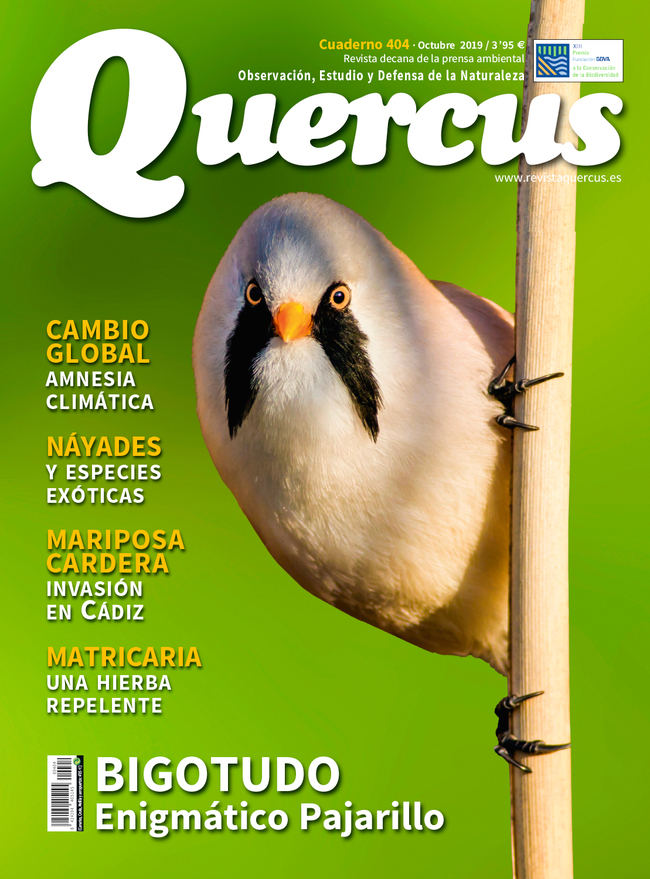 Sumario Quercus nº 404 / Octubre 2019