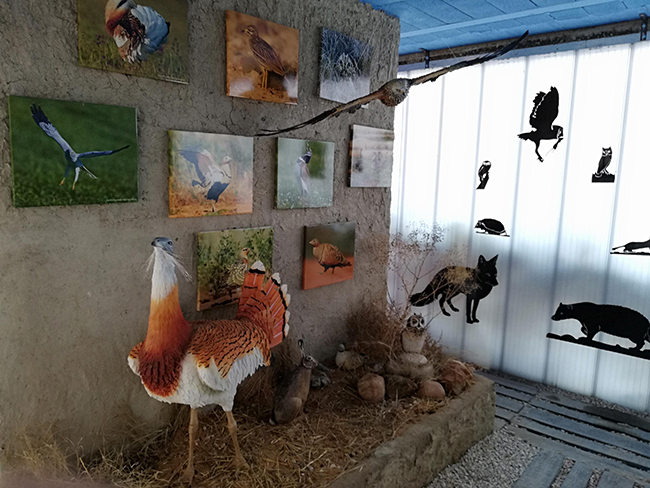 Réplicas a tamaño natural y fotografías de especies propias de las estepas cerealistas, en el Centro de Interpretación de Villalar de los Comuneros (Valladolid). Foto: Grefa.


