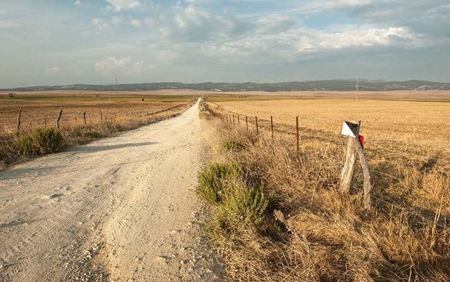 Panorámica de terrenos pertenecientes a la antigua Laguna de la Janda, en la provincia de Cádiz (foto: migellm / Shutterstock).

