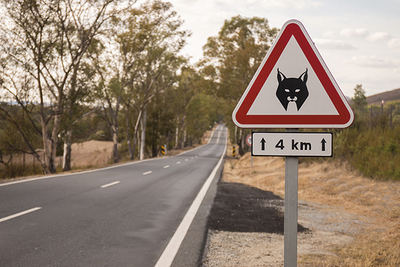 Una señal de tráfico advierte de la presencia de lince ibérico en una carretera de Portugal (foto: Mauro Rodrigues / Shutterstock).


