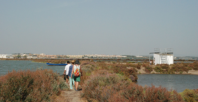 Varias personas pasean por el entorno de la bahía de Cádiz (foto: Salarte).

