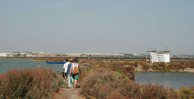 Varias personas pasean por el entorno de la bahía de Cádiz (foto: Salarte).

