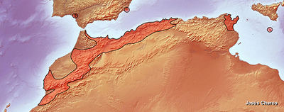 Área de distribución mundial del ciprés de Cartagena. Mapa: Jesús Charco.