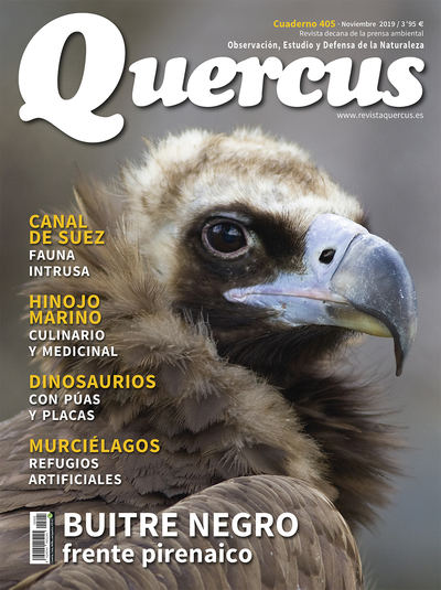 Portada Quercus nº 405 / Noviembre 2019