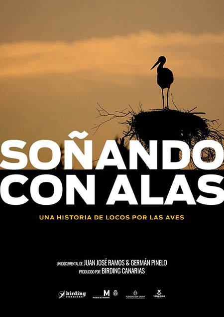 Cartel de la película Soñando con alas.