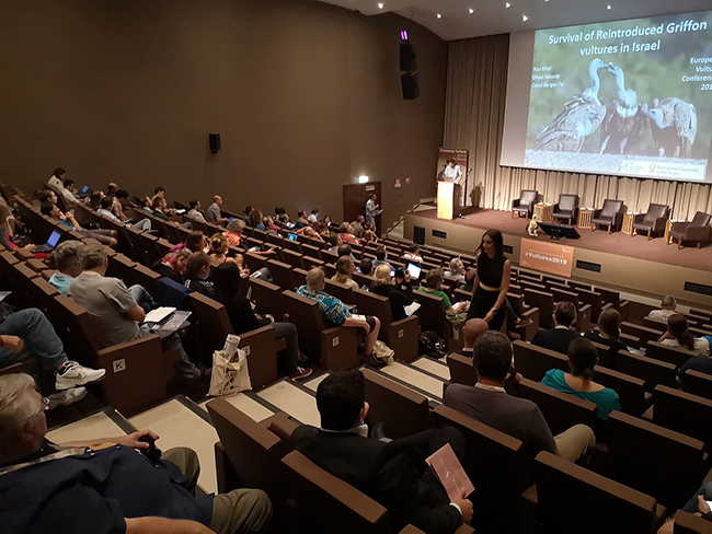 Ponencia sobre los buitres de Israel durante el congreso celebrado en Albufeira (Portugal). Foto: Jordi Muntaner.

