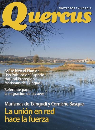 Txingudi: una bahía con tres proyectos
 