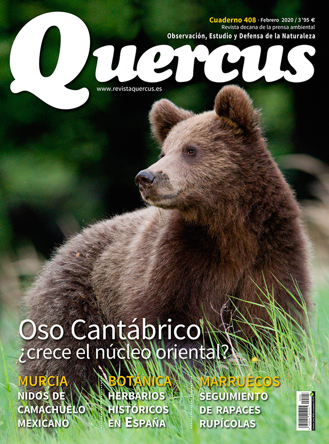 Portada Quercus nº 408 / Febrero 2020