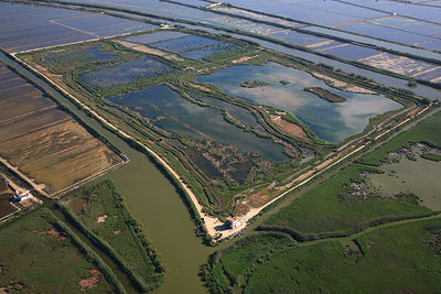 Vista aérea del Tancat de la Pipa, en la orilla norte de la laguna de la Albufera (foto: Servei Devesa-Albufera / Ajuntament de València).

