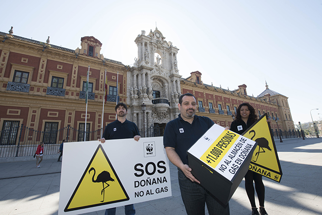 Entrega de firmas a Susana Díaz contra el proyecto de almacén de gas en Doñana, en marzo de 2015, en el Palacio de San Telmo (Sevilla), sede de la presidencia de la Junta de Andalucía (foto: WWF España).