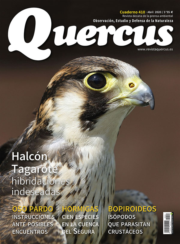 Sumario Quercus nº 410 / Abril 2020