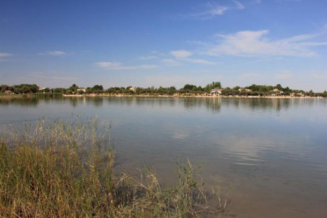 Laguna Grande de Villafranca de los Caballeros (Toledo). Imagen de Fundación Global Nature, entidad seleccionada en la I Convocatoria de Medioambiente Desarrollo Sostenible por su proyecto 'Flora del agrosistema manchego'.