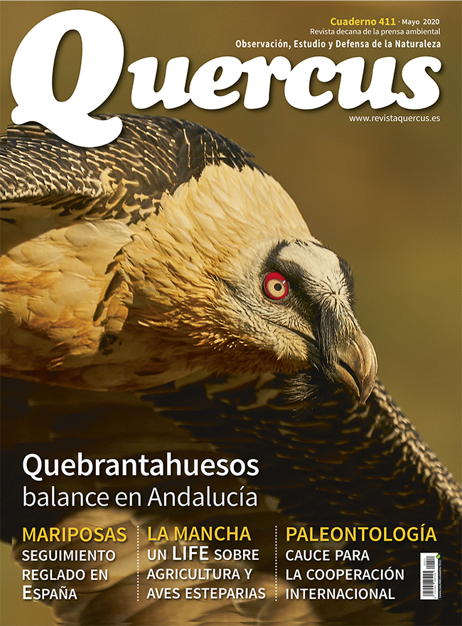 Sumario Quercus nº 411 / Mayo 2020