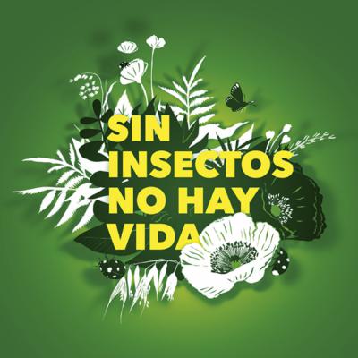 Entomólogos y ecologistas, unidos a favor de los insectos