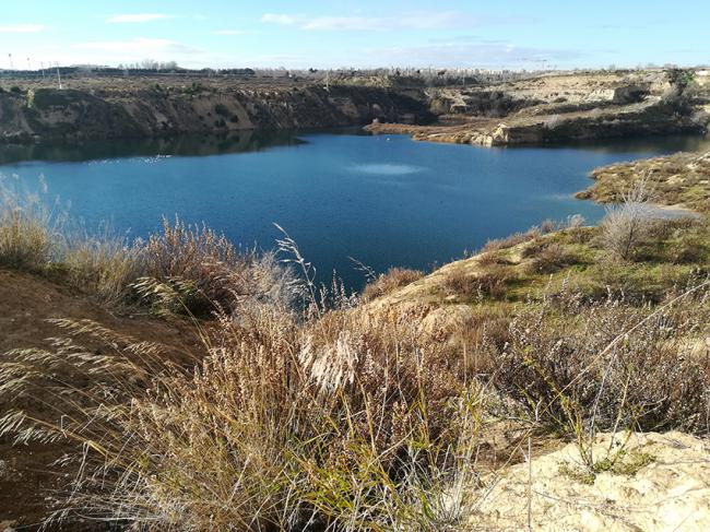 Aspecto actual de la laguna de Ambroz, situada en el área metropolitana de Madrid (foto: José Antonio Montero).