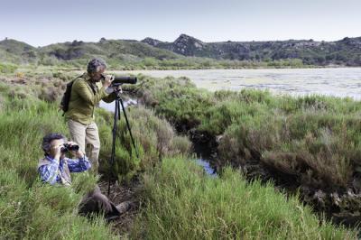 Dos observadores de aves en una zona húmeda de Menorca.