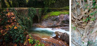 Fotografías "Puente de hiedras" ((a la izquierda) y "Contorsionistas", de Jesús Roberto de la Fuente y José Vicente Ferrández, respectivamente.