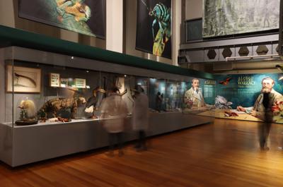 Un sector de la muestra que el Museo Nacional de Ciencias Naturales dedica a Wallace (foto: MNCN).