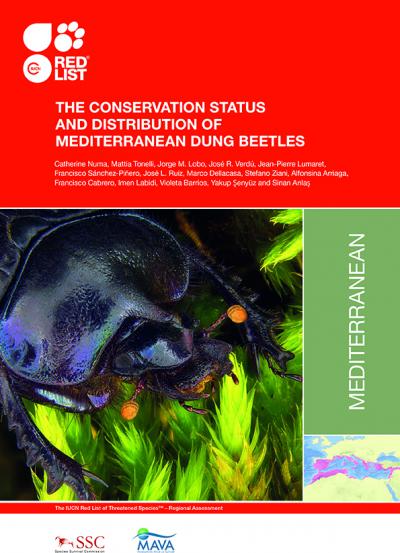 Informe UICN: son malos tiempos para los escarabajos peloteros