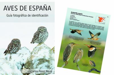Portada y lámina dedicada al avetorillo del libro "Aves de España. Guía fotográfica de identificación".