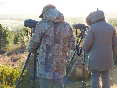 Naturalistas intentan observar lobos en una espera al amanecer en la Sierra de la Culebra (Zamora). Foto: Javier Talegón.