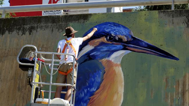 Un ilustrador pinta un martín pescador en un muro de Santa Coloma de Gramenet (Barcelona), junto al río Besós (foto: Ayuntamiento de Santa Coloma).