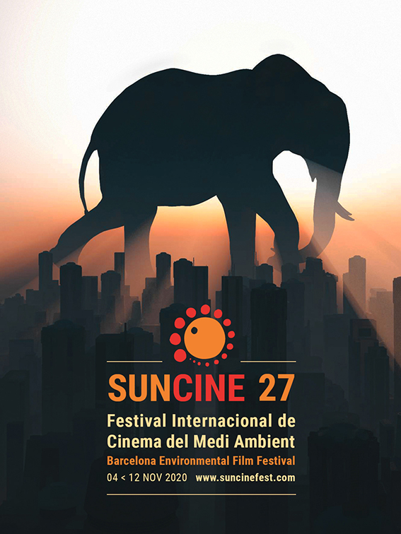 Suncine, el arte de contar historias