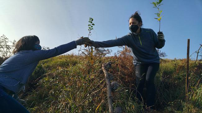 Dos voluntarias durante una plantación realizada el pasado octubre en el paraje de Undabaso (Vizcaya). Foto: Fundación Lurgaia Fundazioa.