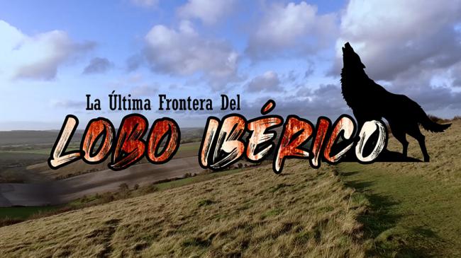 Imagen promocional del documental "La última frontera del lobo".