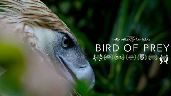 Imagen promocional del documental "Bird of prey".