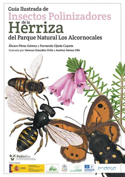 Nueva guía ilustrada dedicada a los insectos polinizadores