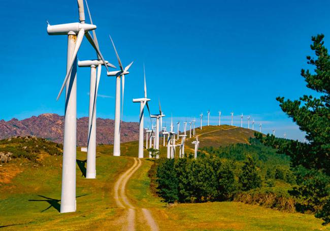 Acumulación de aerogeneradores en un paisaje de montaña (foto: Piotrek Golemo / Shutterstock).