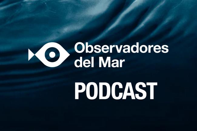 Observadores del Mar: el podcast de la ciencia ciudadana marina
